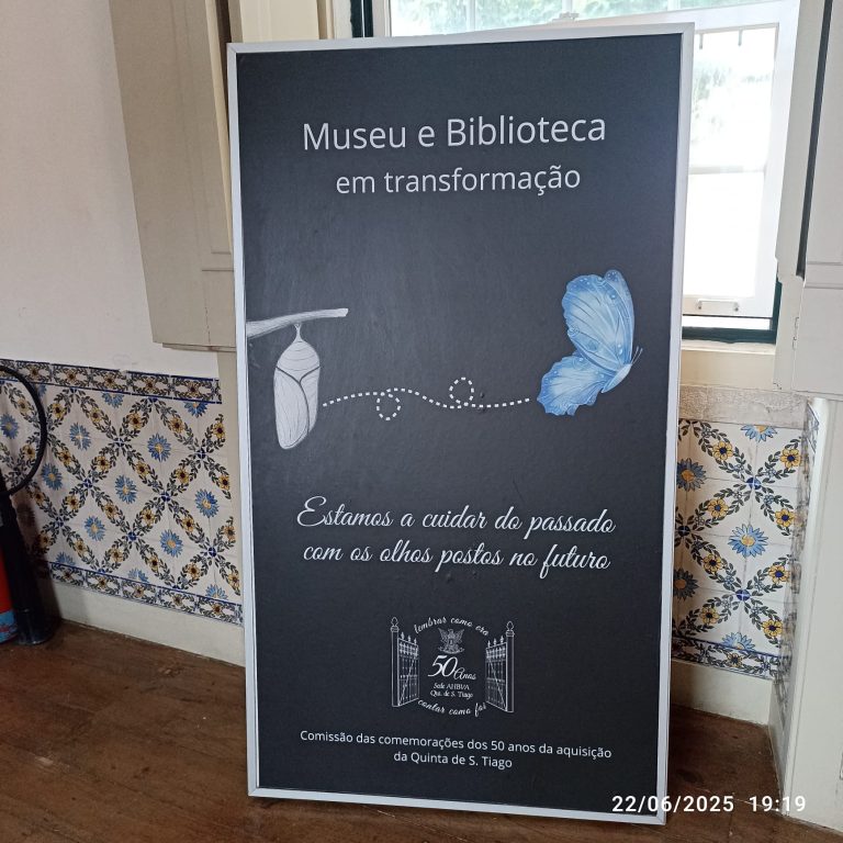 WhatsApp Image 2026-03-16 at 13.08.51